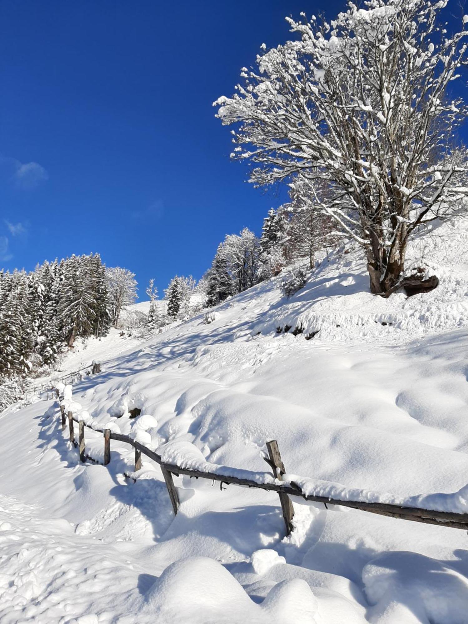 Appartamento Landhof Kreuzsalgut Wagrain Esterno foto