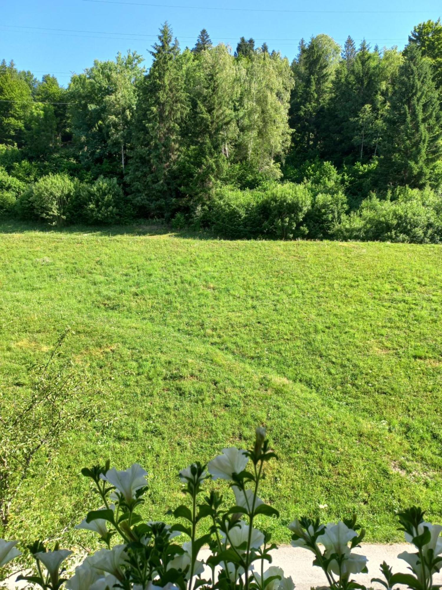 Appartamento Landhof Kreuzsalgut Wagrain Esterno foto