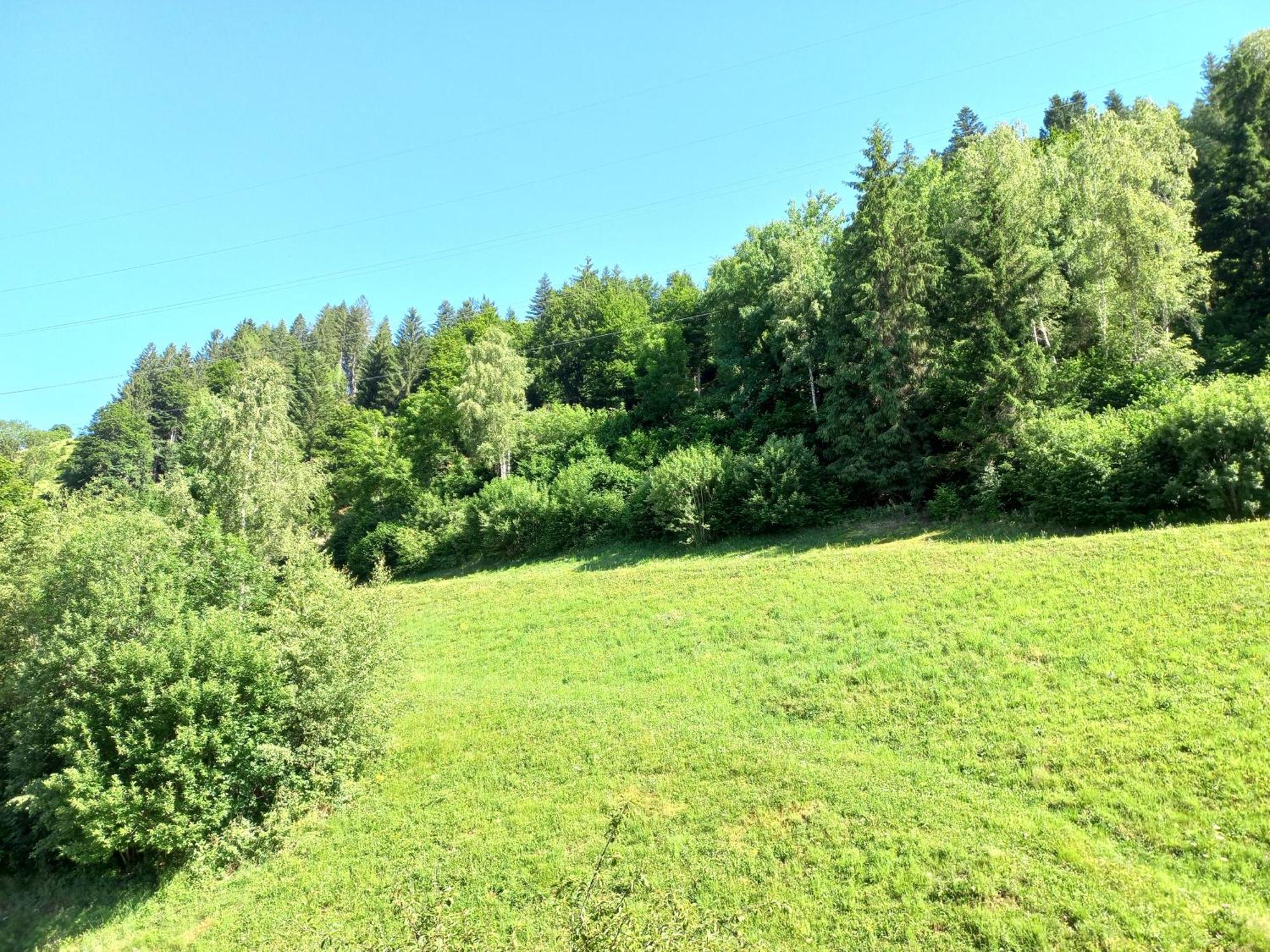 Appartamento Landhof Kreuzsalgut Wagrain Esterno foto